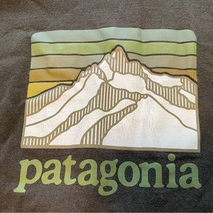 Patagonia Responibili-Tee long sleeve